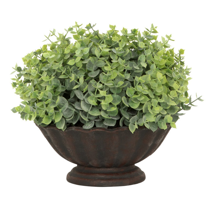 The Seasonal Aisle Artificial Desktop Foliage Plant in Urn & Reviews